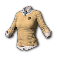 Sweter prywatnej szkoły (żółty)