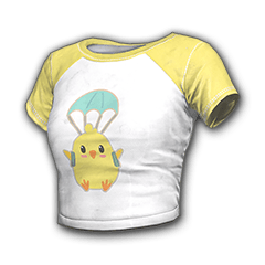 Camisa Chick Primavera