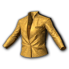Golden Opportunity Jacket