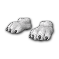 เท้าหมีขาว