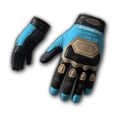 Ashek's Gloves