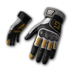 Swagger's Gloves