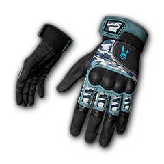 Danucd's Gloves