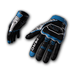 Petrichor Road Gloves