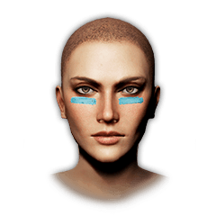 Maquillage du visage de jeu PCS6