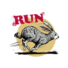 Coniglio in corsa