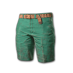 Pantalones cortos de playa (verdes)