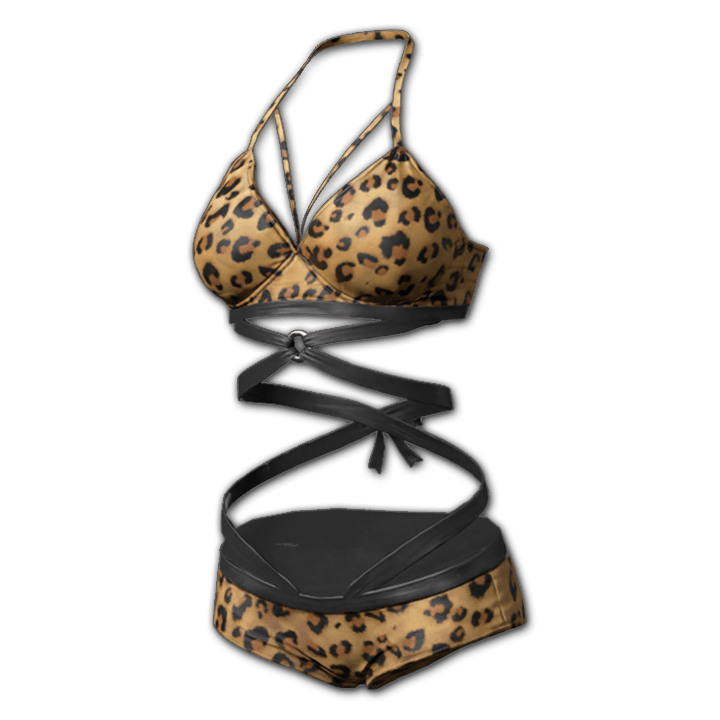 Leopard Summer Bikini