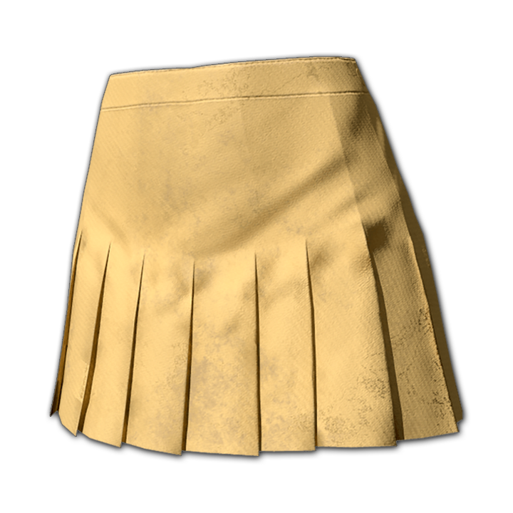 Falda de Animadora