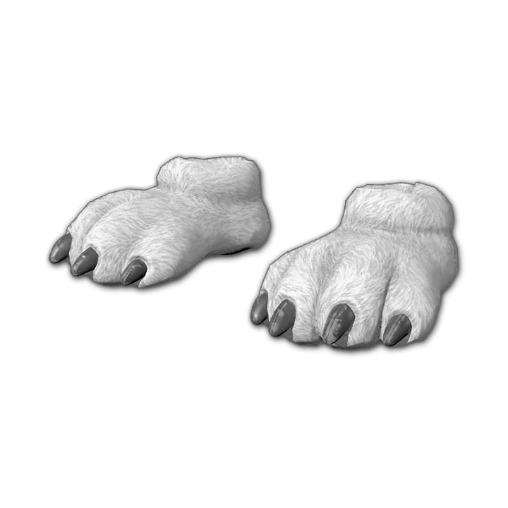 Pies de oso polar