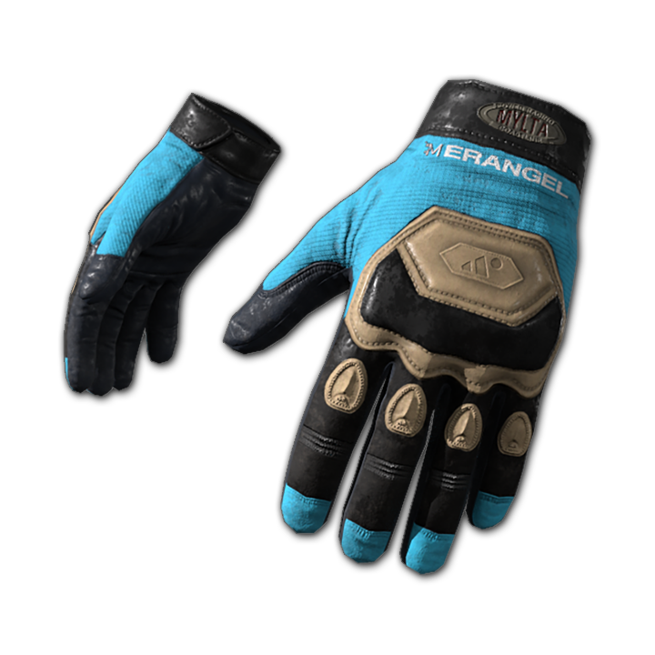 Ashek's Gloves