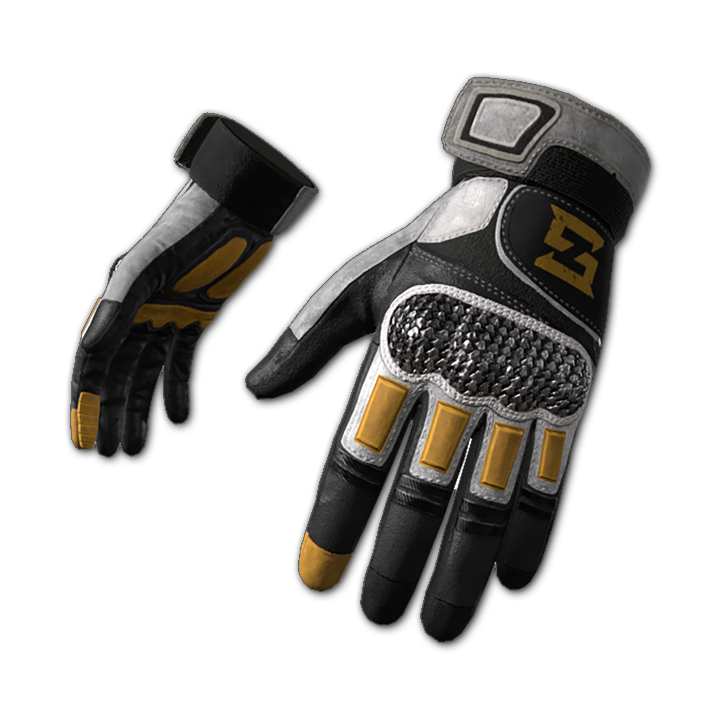 Swagger's Gloves
