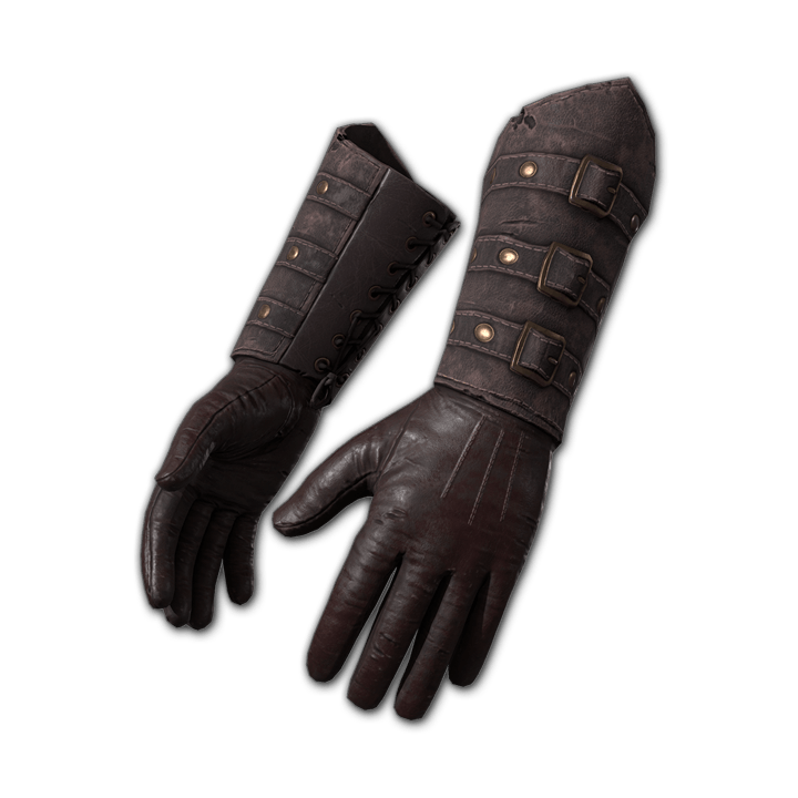 Night Hunter Gloves