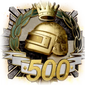 TOP 500 徽章