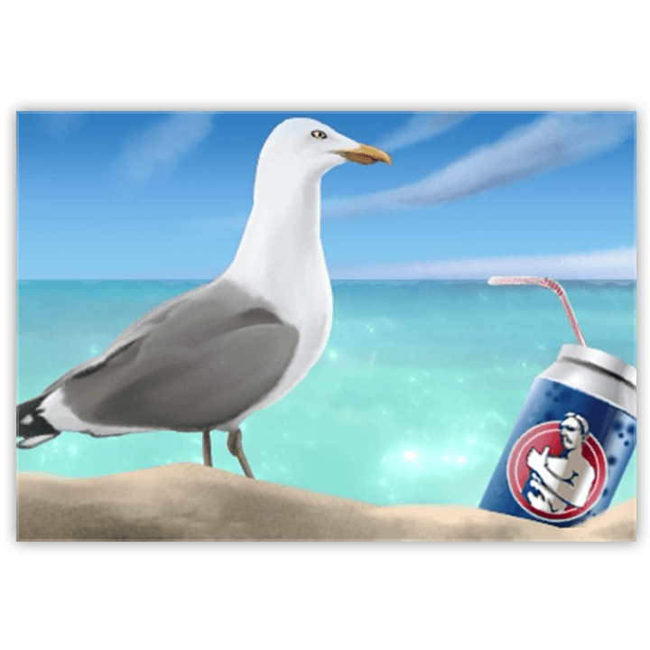 Seagull Sips